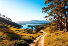 Escape the City: 10 Stunning Day Trips from Sydney