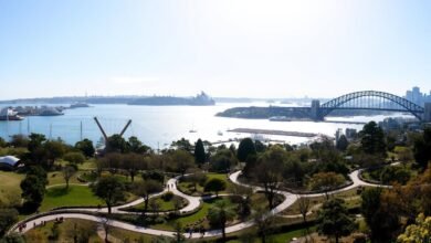 The Ultimate Family Day in Darling Harbour: Zoo, Food & Fun